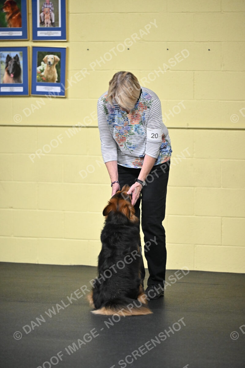 Susan-Lindsey-00782