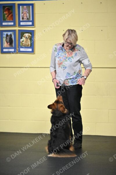 Susan-Lindsey-00788