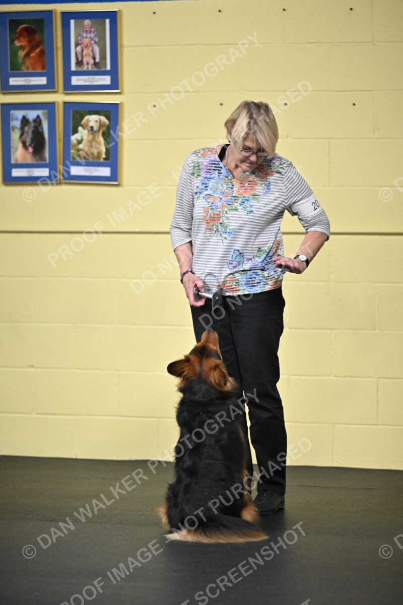 Susan-Lindsey-00789