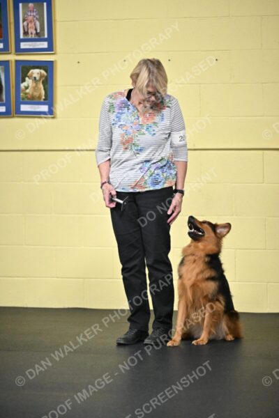 Susan-Lindsey-00790