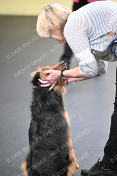 Susan-Lindsey-00815