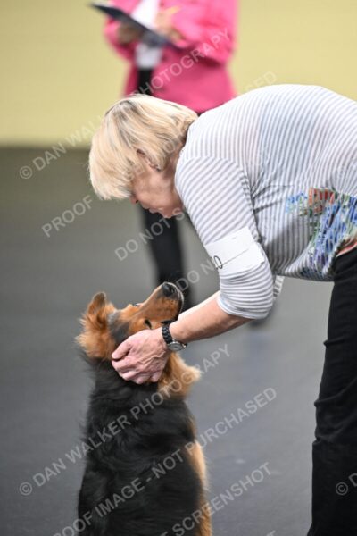 Susan-Lindsey-00819