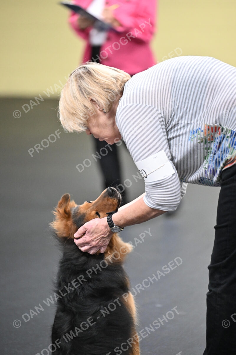 Susan-Lindsey-00819