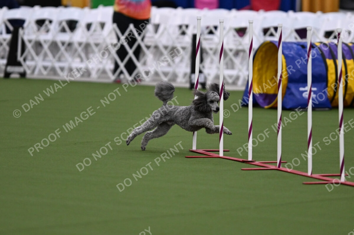DJW_2828