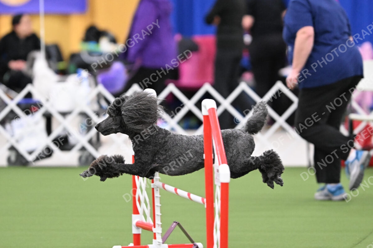 DJW_3187