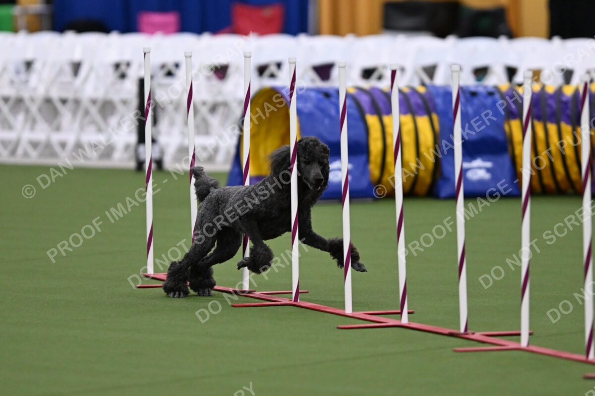 DJW_3194