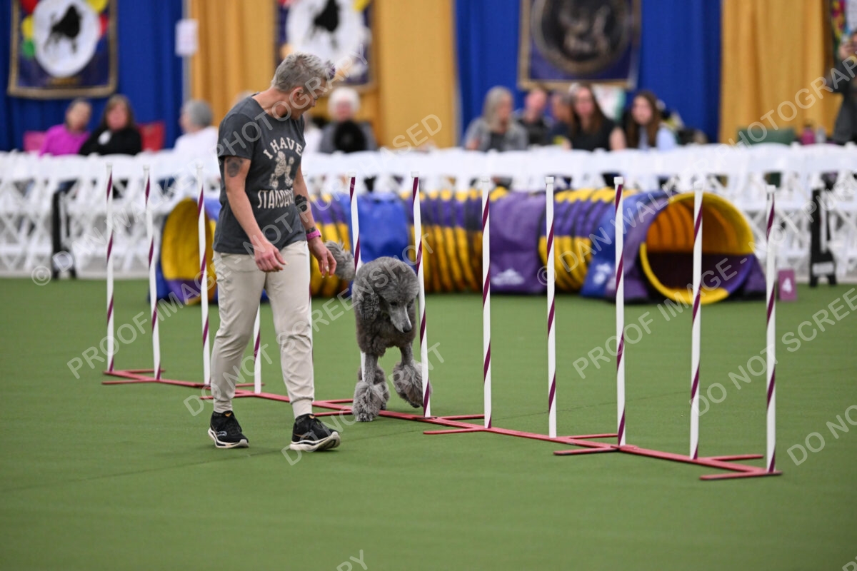 DJW_0543