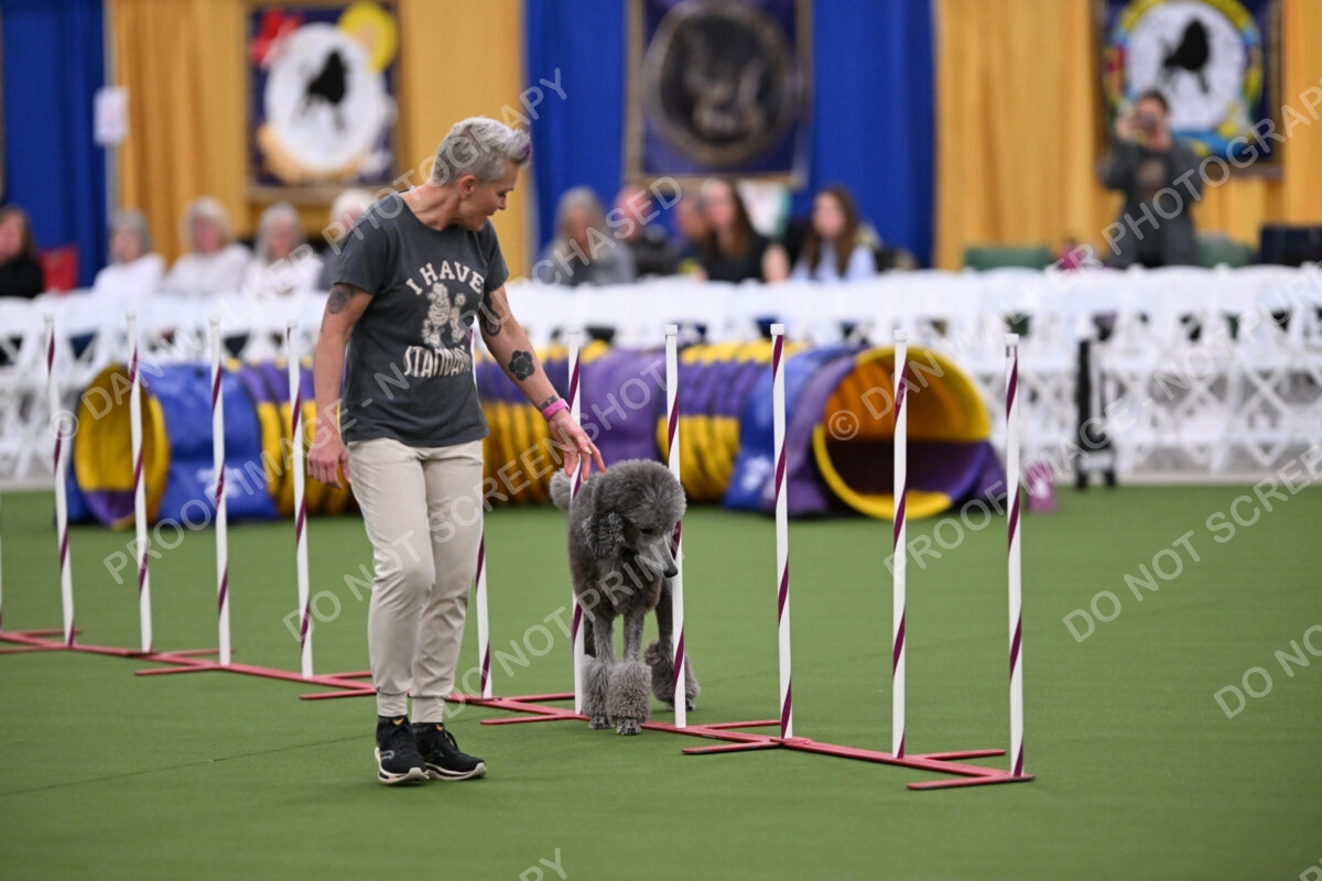 DJW_0555