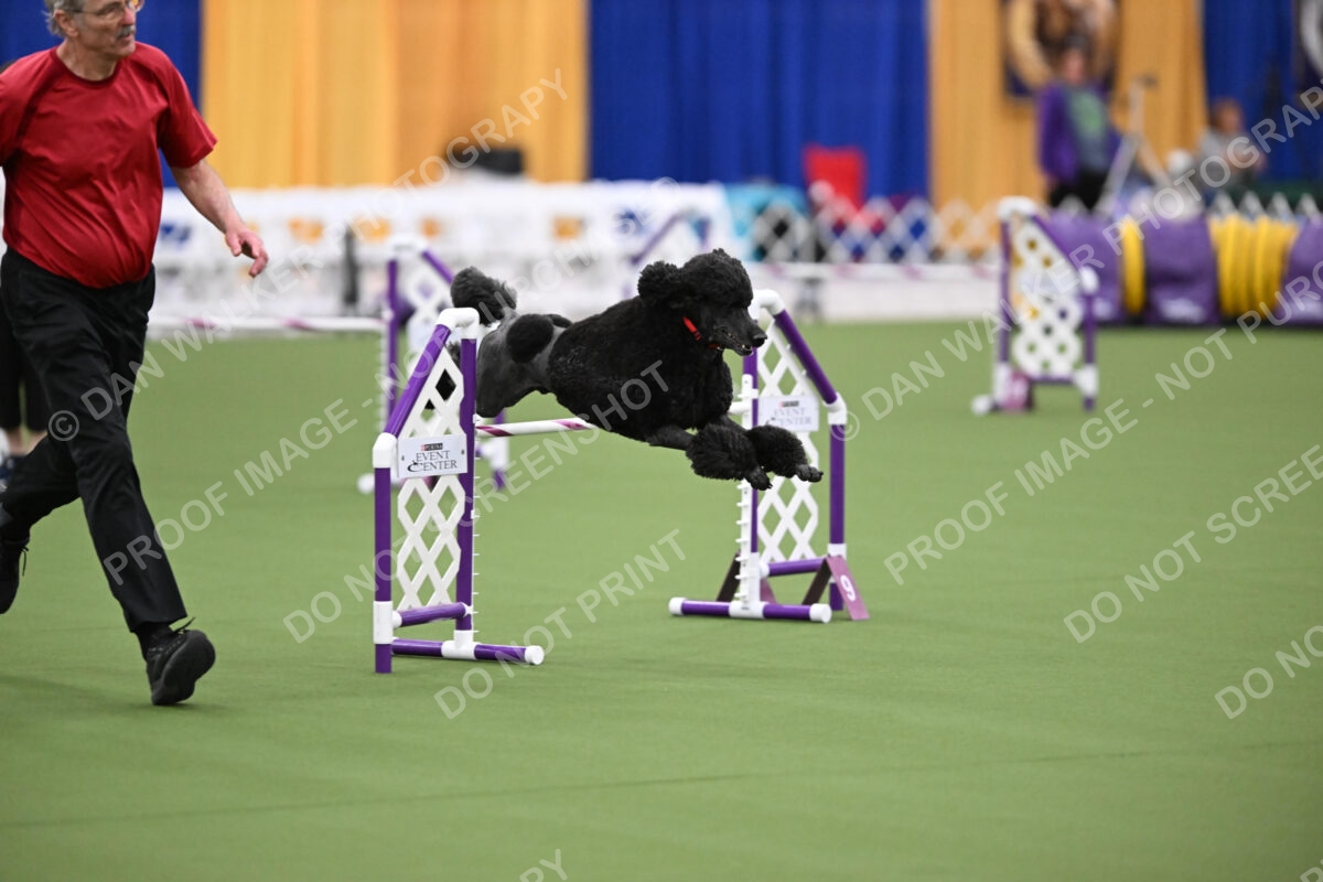 DJW_0716