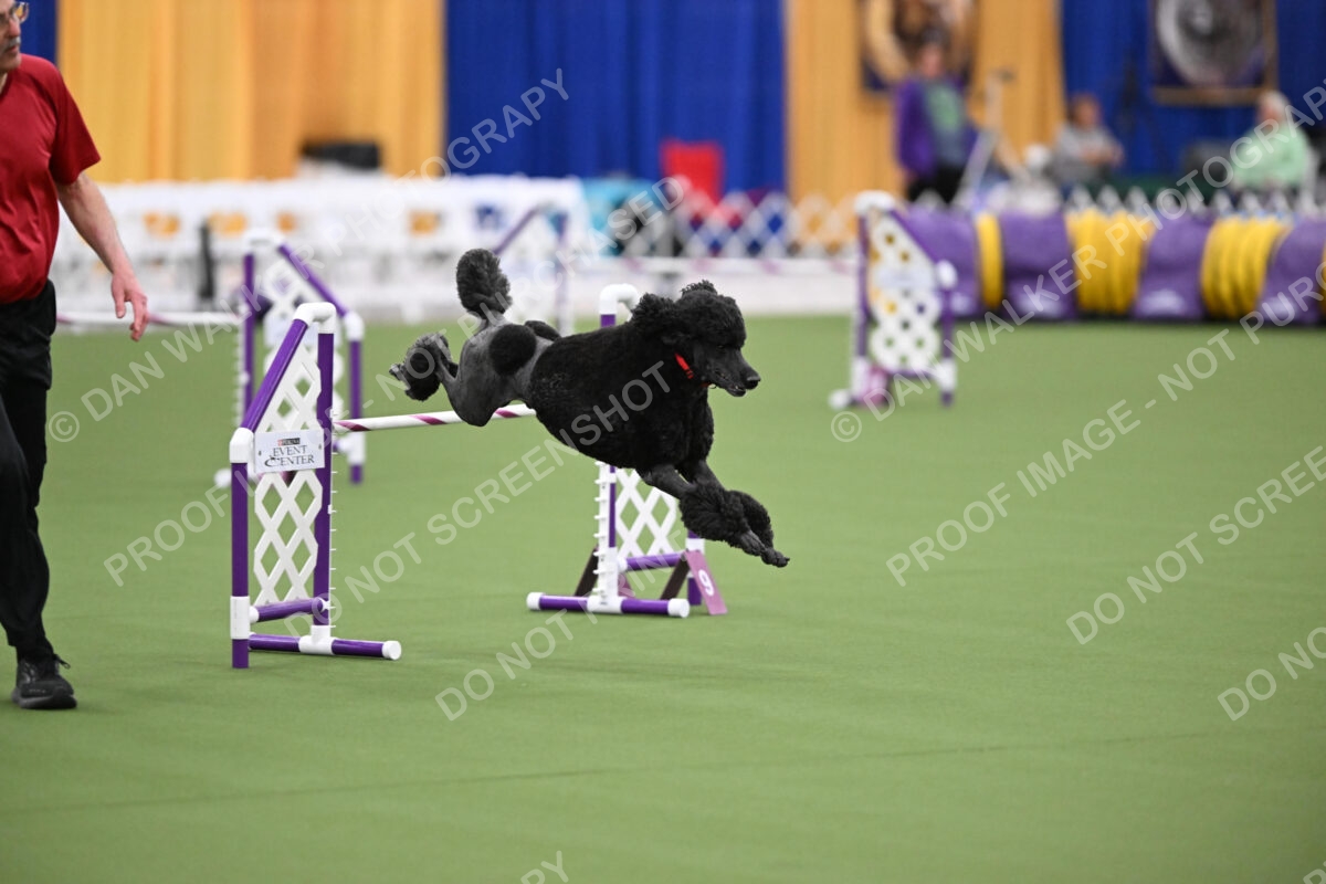 DJW_0717