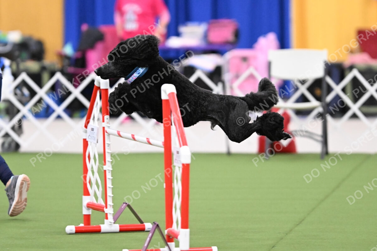 DJW_0746