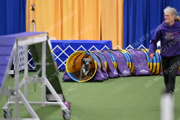DJW_3950