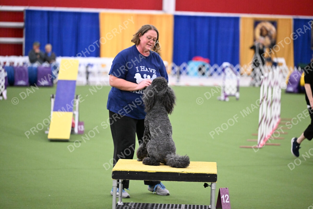 DJW_3411