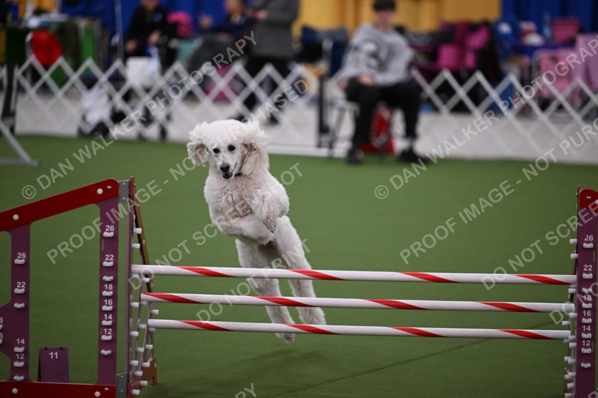 DJW_2719