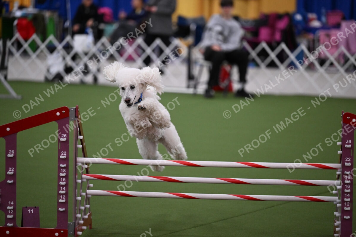 DJW_2720