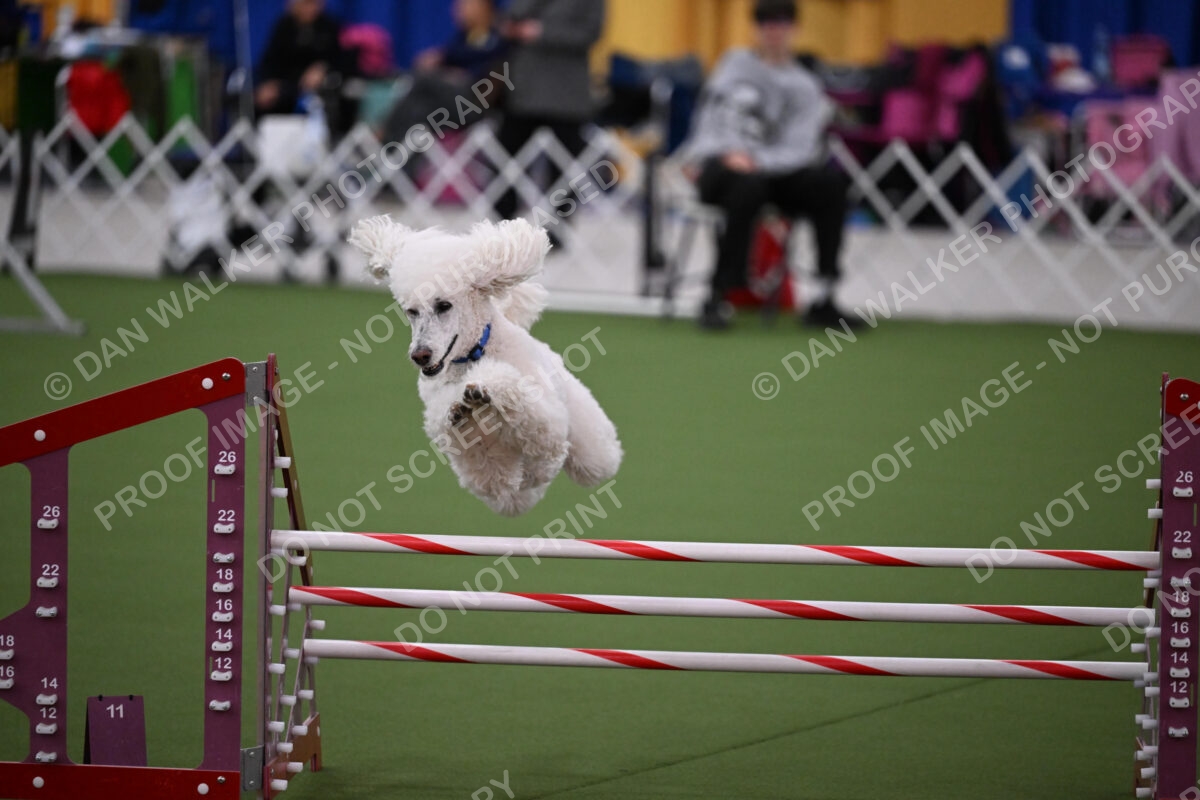 DJW_2721
