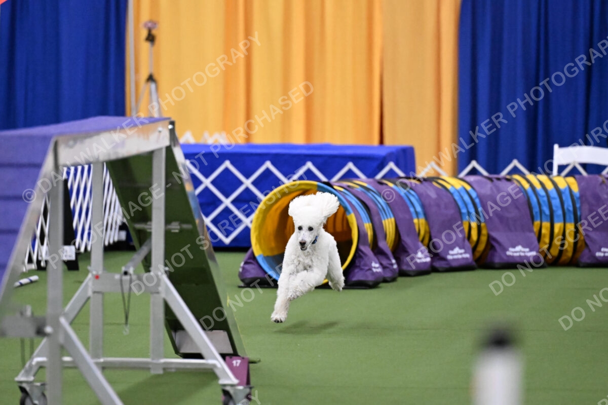 DJW_2727