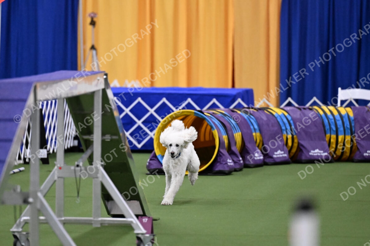 DJW_2728