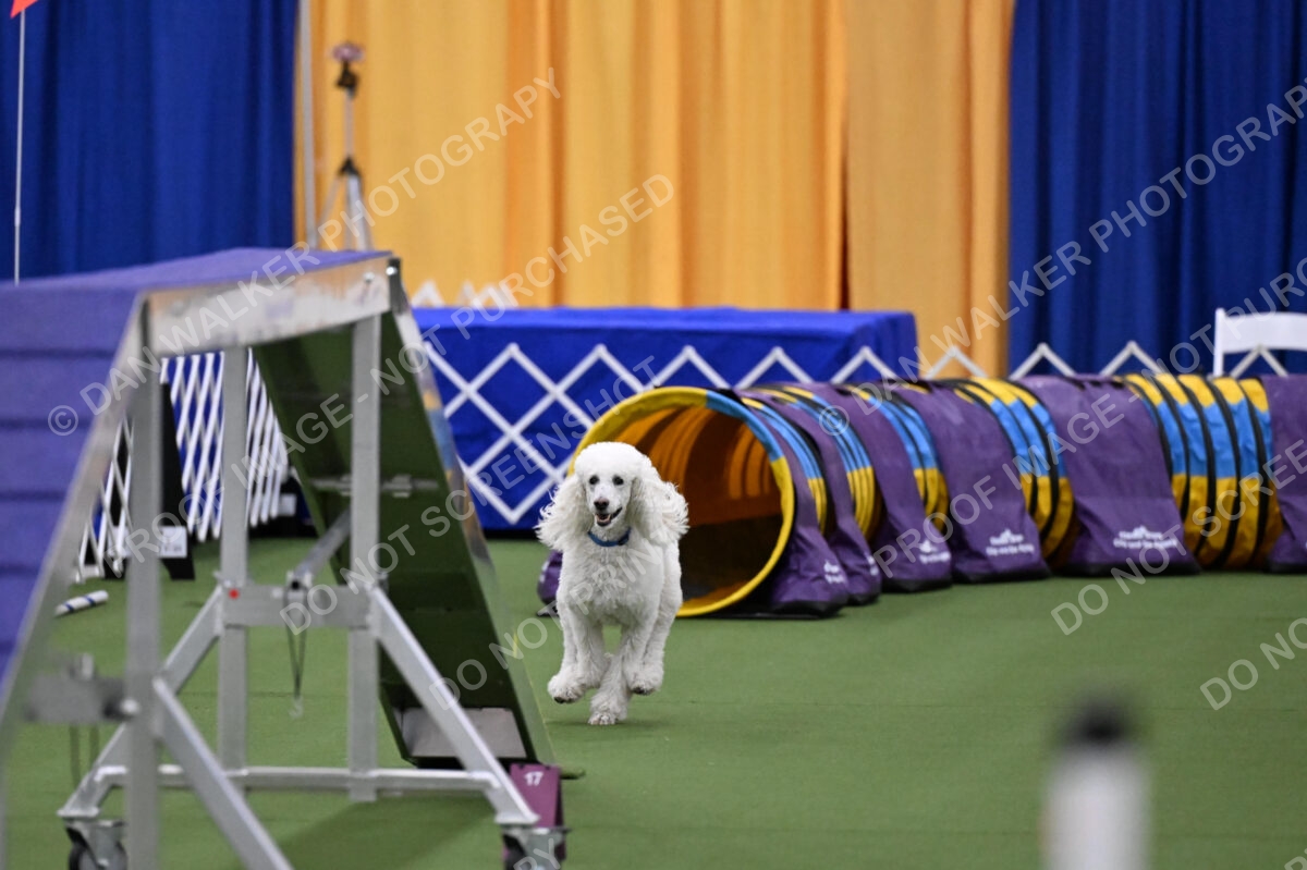 DJW_2729