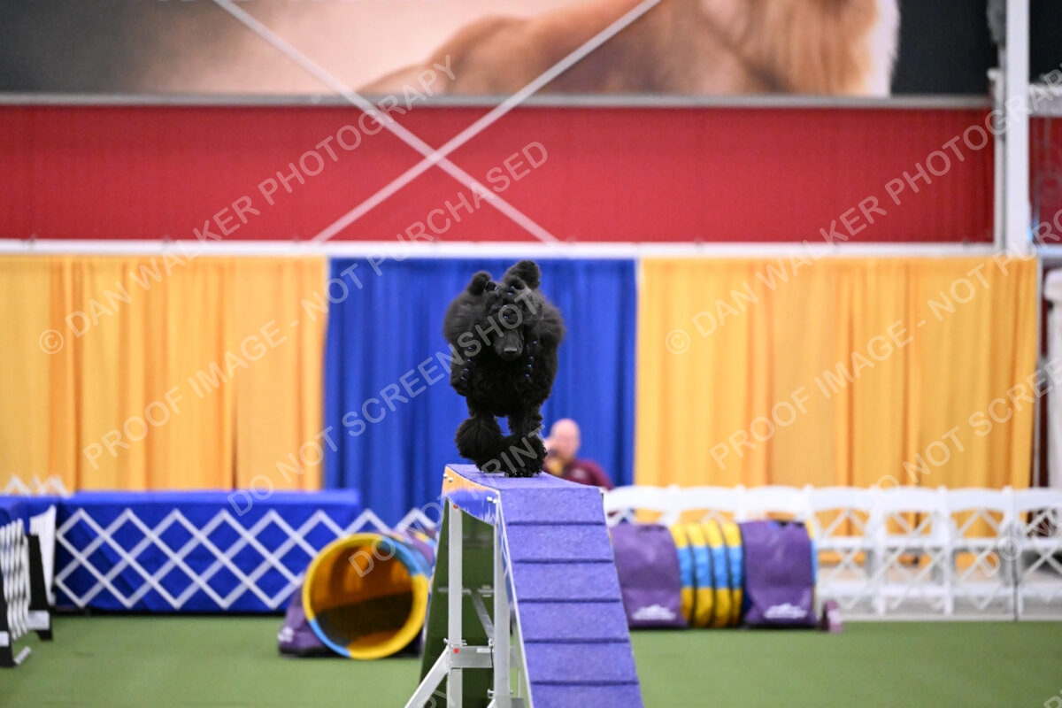 DJW_1410