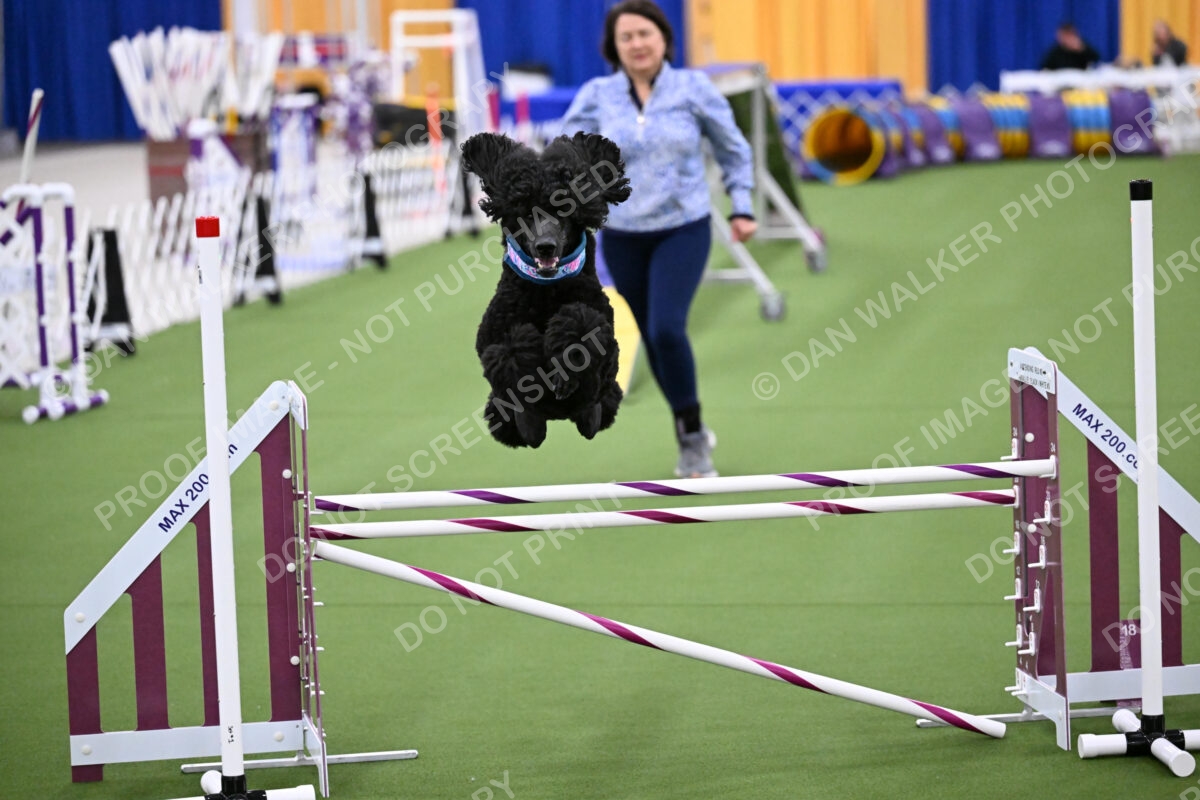 DJW_2012