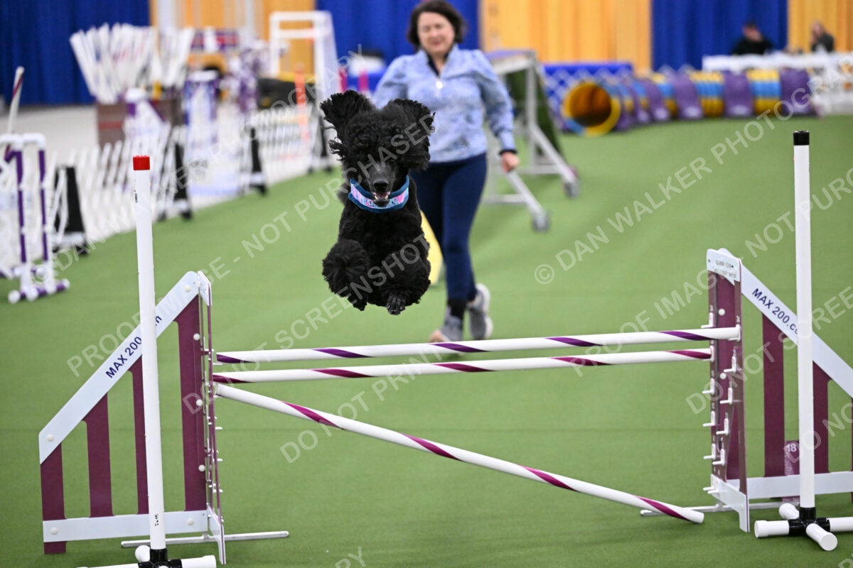 DJW_2013