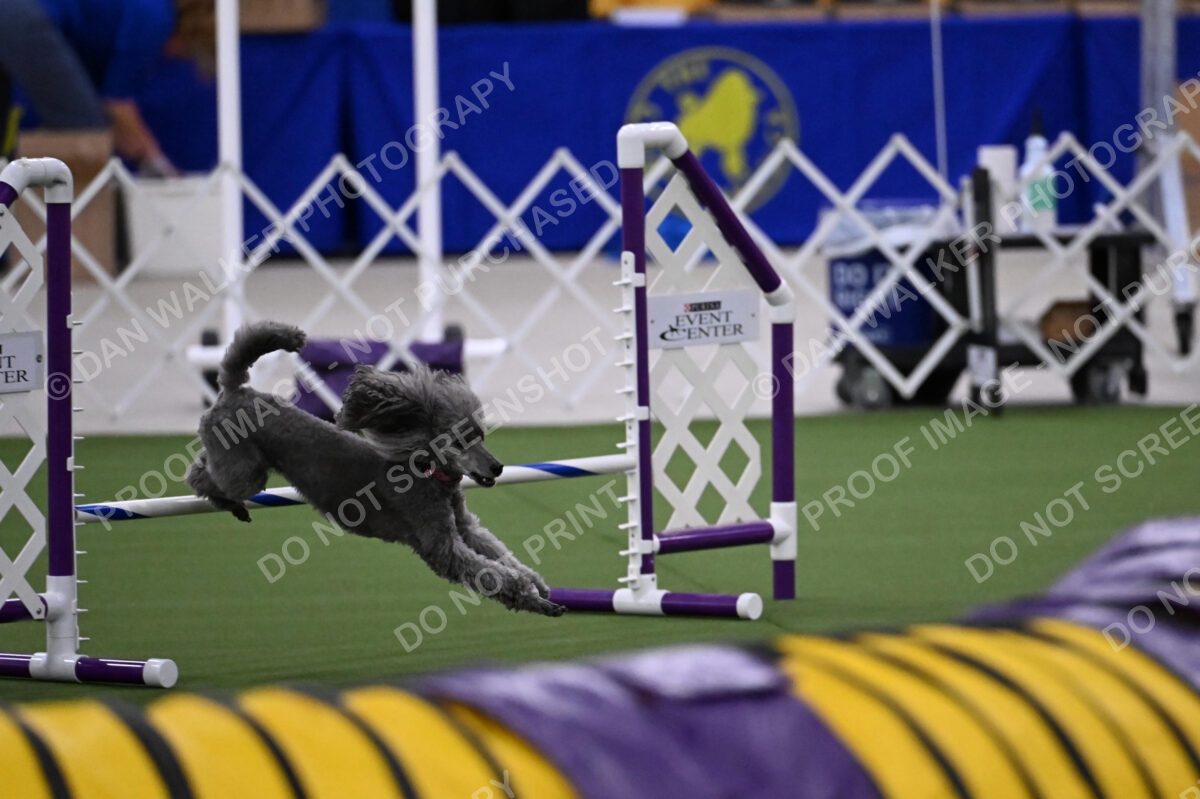 DJW_0088