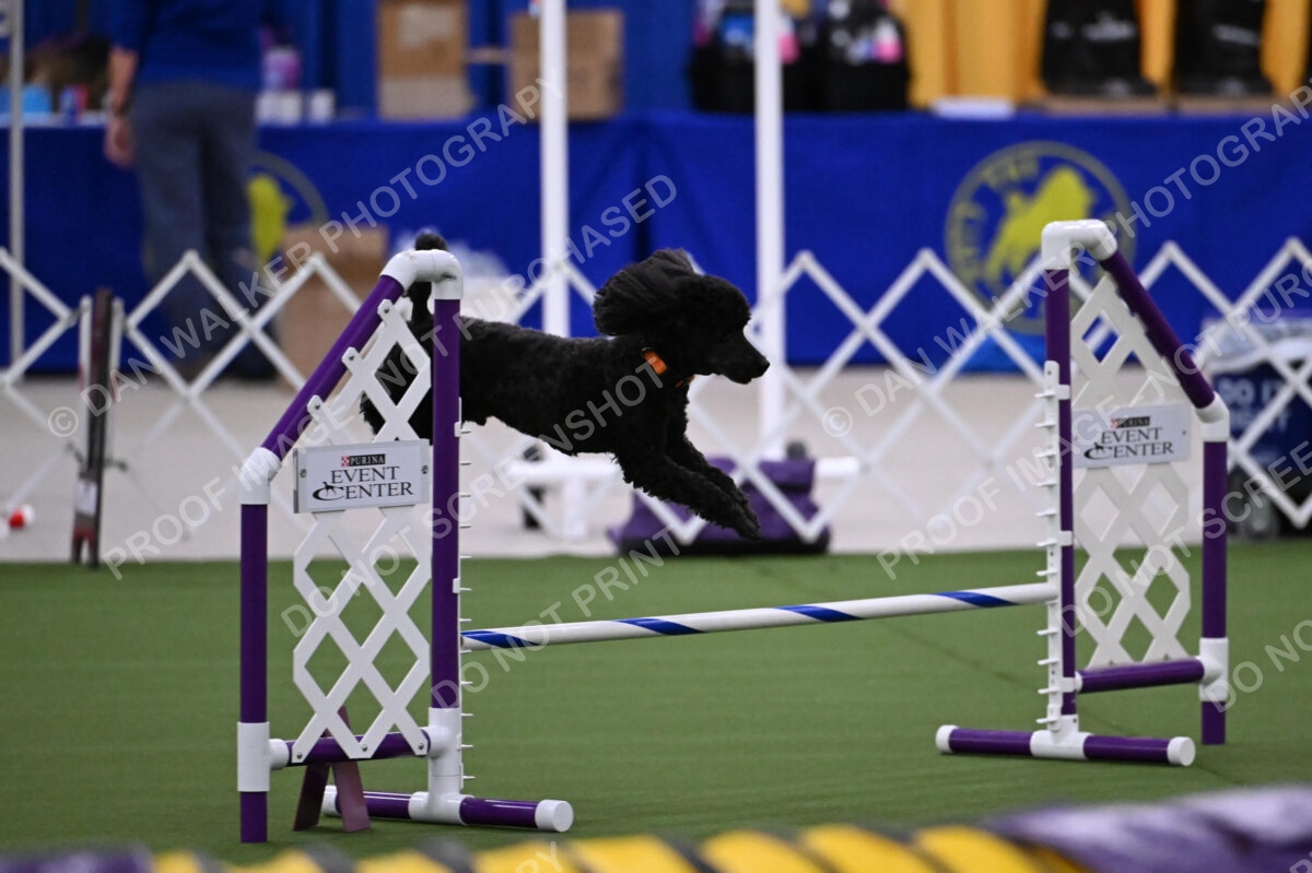 DJW_0384