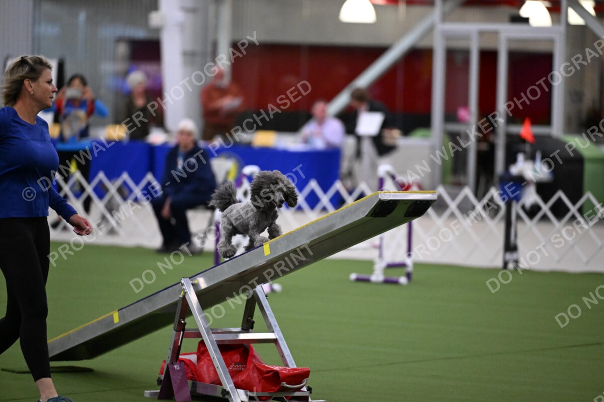 DJW_9052