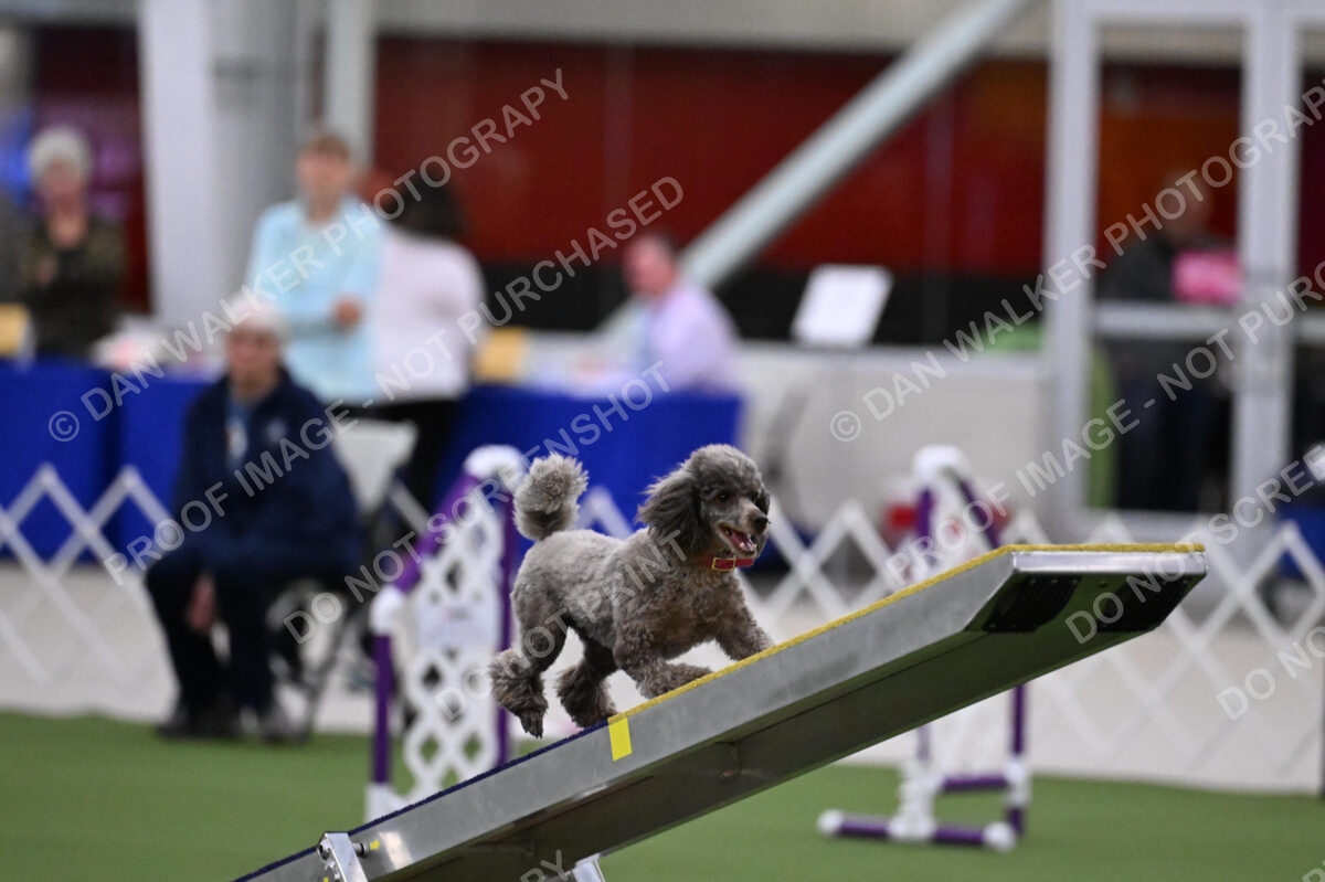 DJW_9191