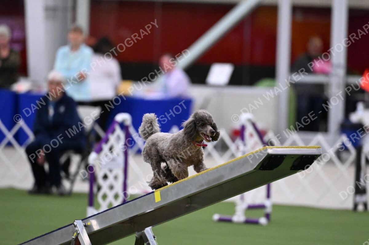DJW_9192