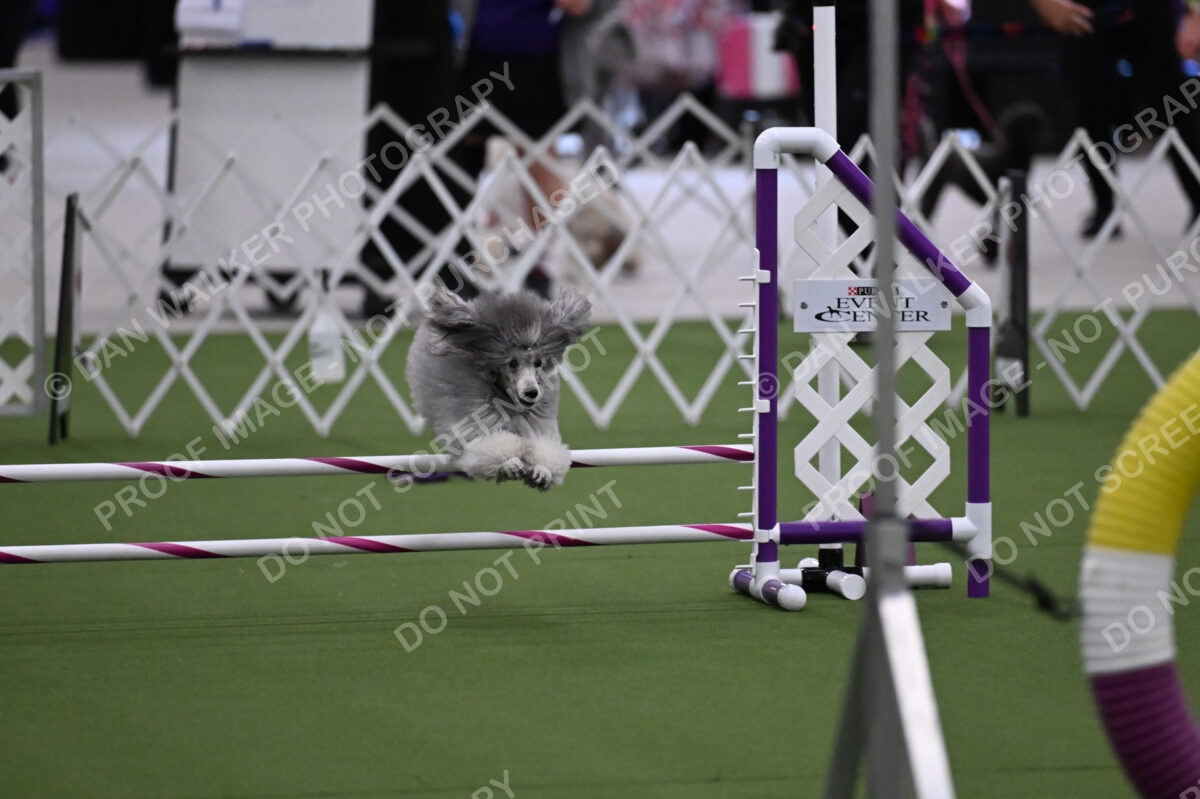 DJW_9282