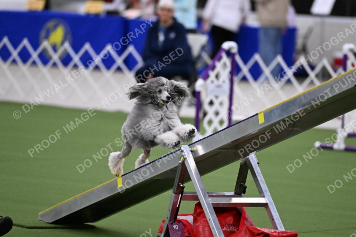 DJW_9312
