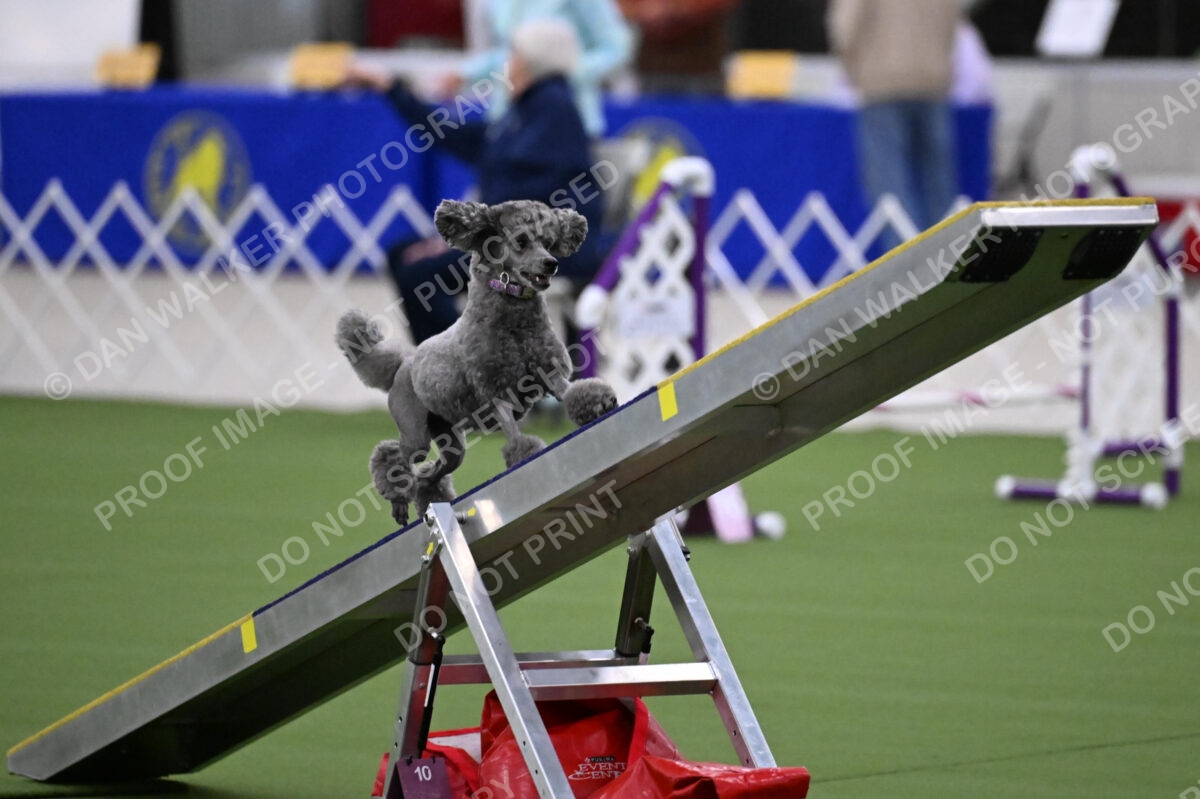 DJW_9505