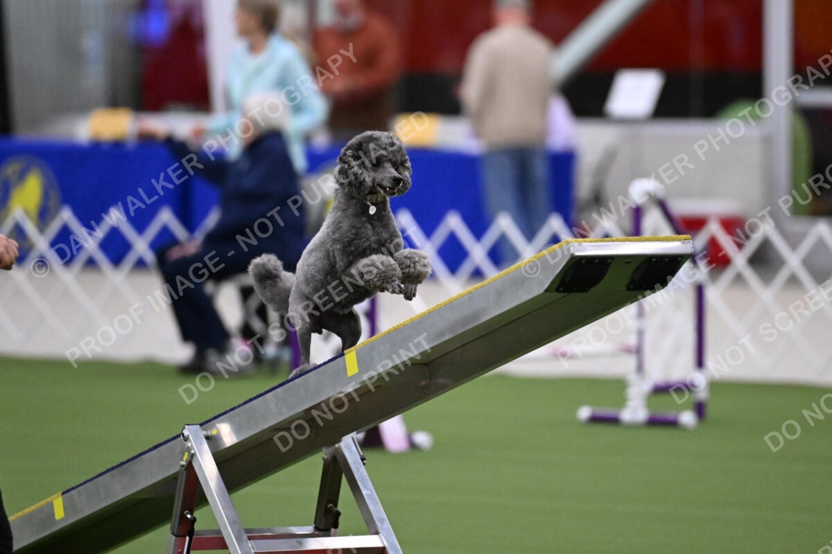DJW_9508