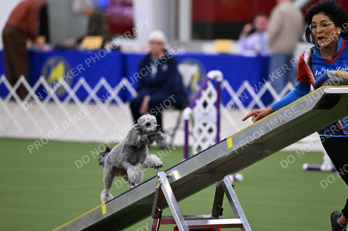 DJW_9755