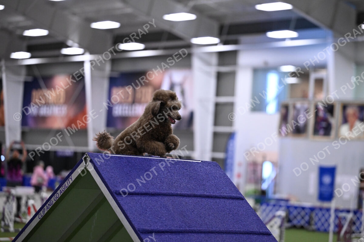 DJW_9800