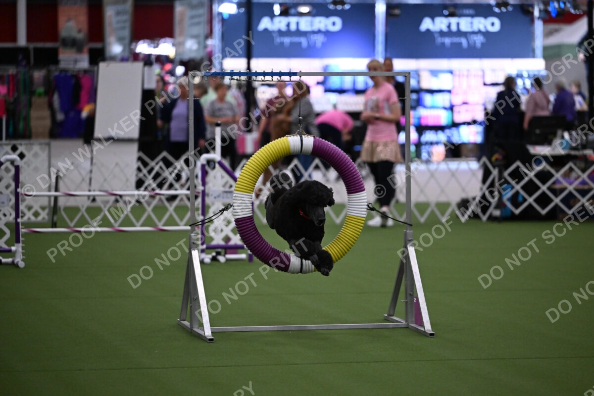 DJW_7013