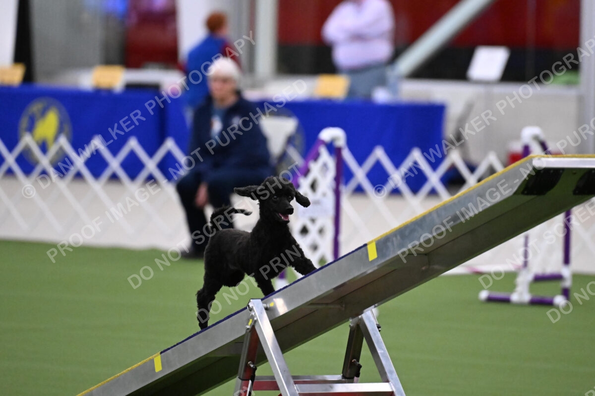 DJW_0916