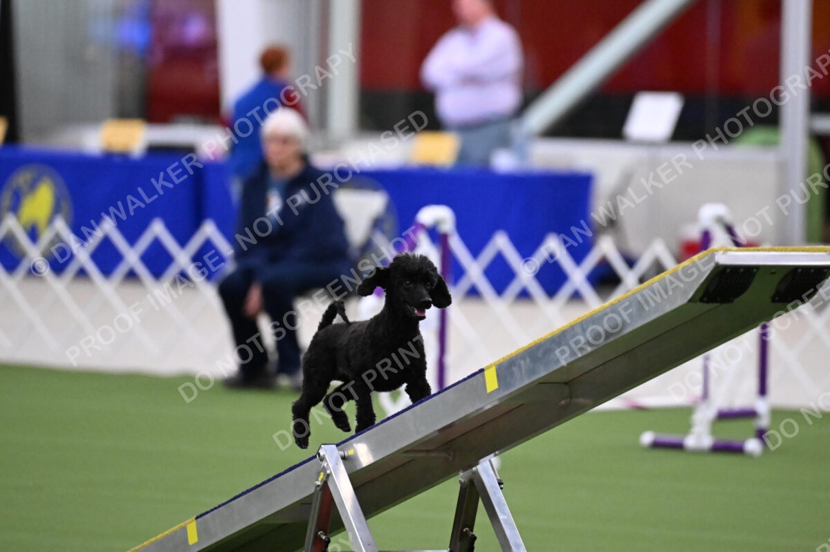 DJW_0917