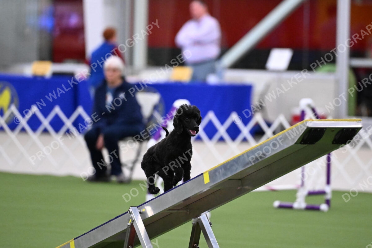 DJW_0918