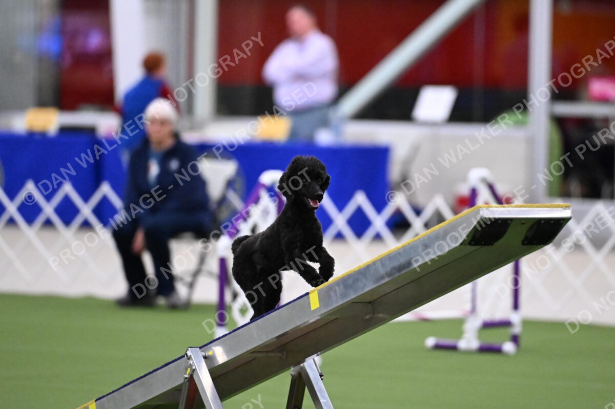 DJW_0919