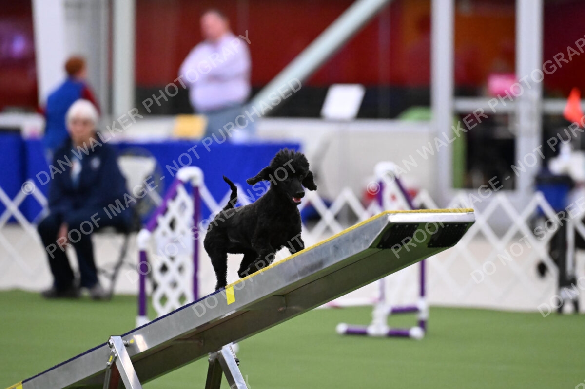 DJW_0922