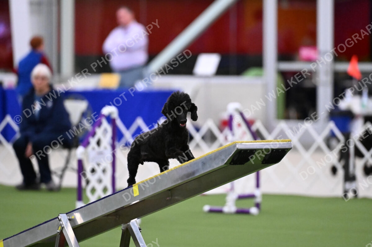 DJW_0923