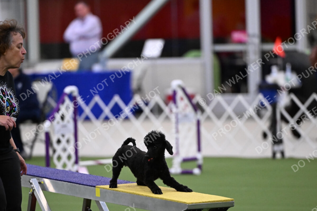 DJW_0928