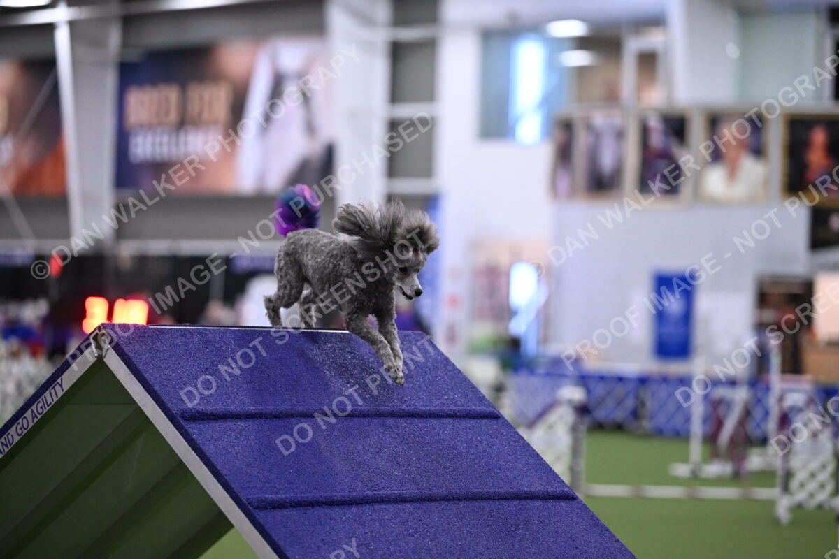 DJW_1040