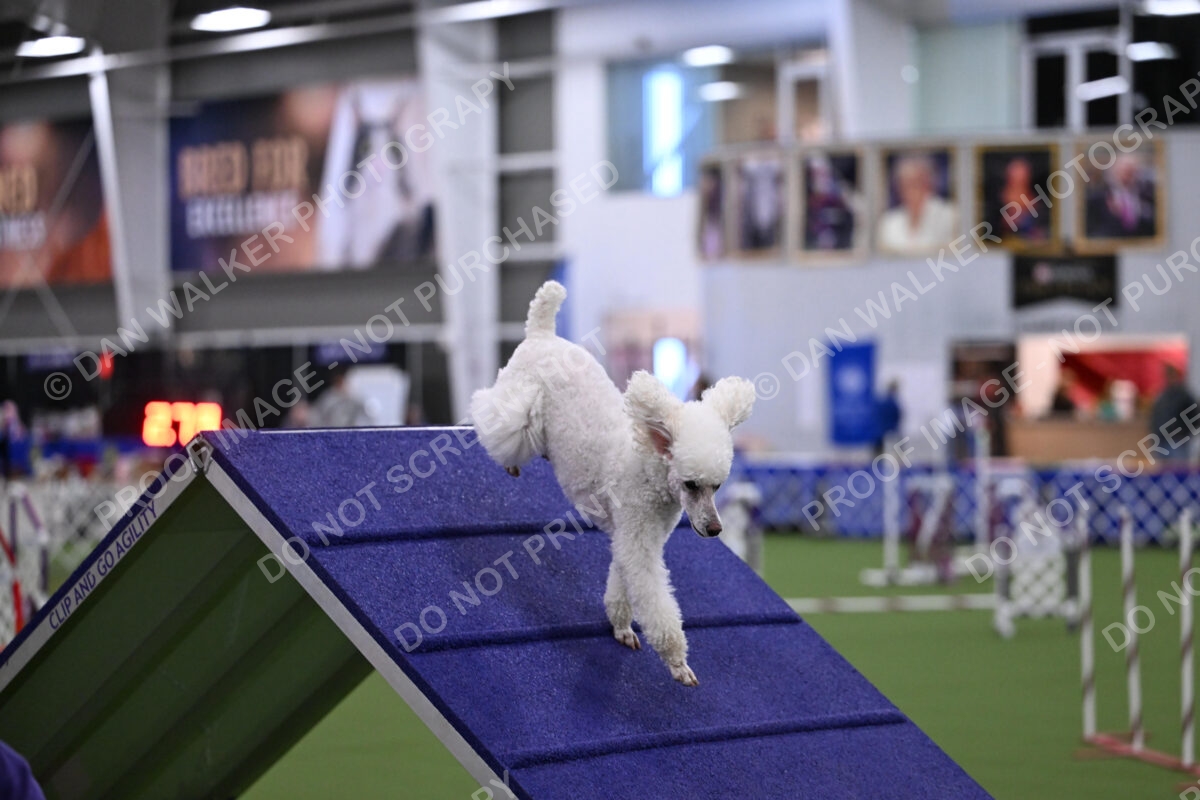 DJW_1182
