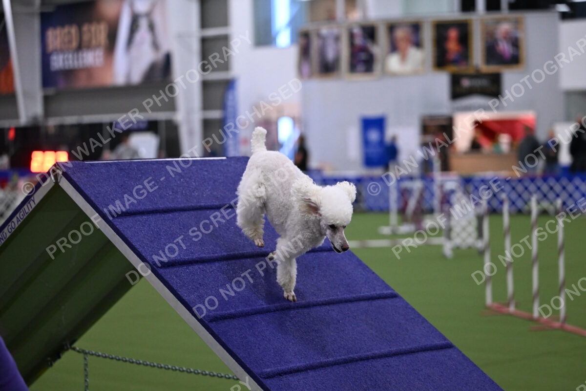 DJW_1183