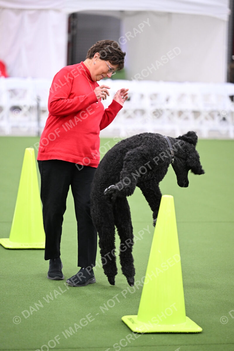 DJW_1111