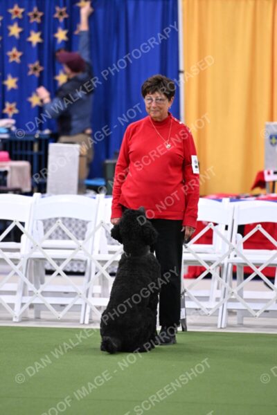 DJW_1143